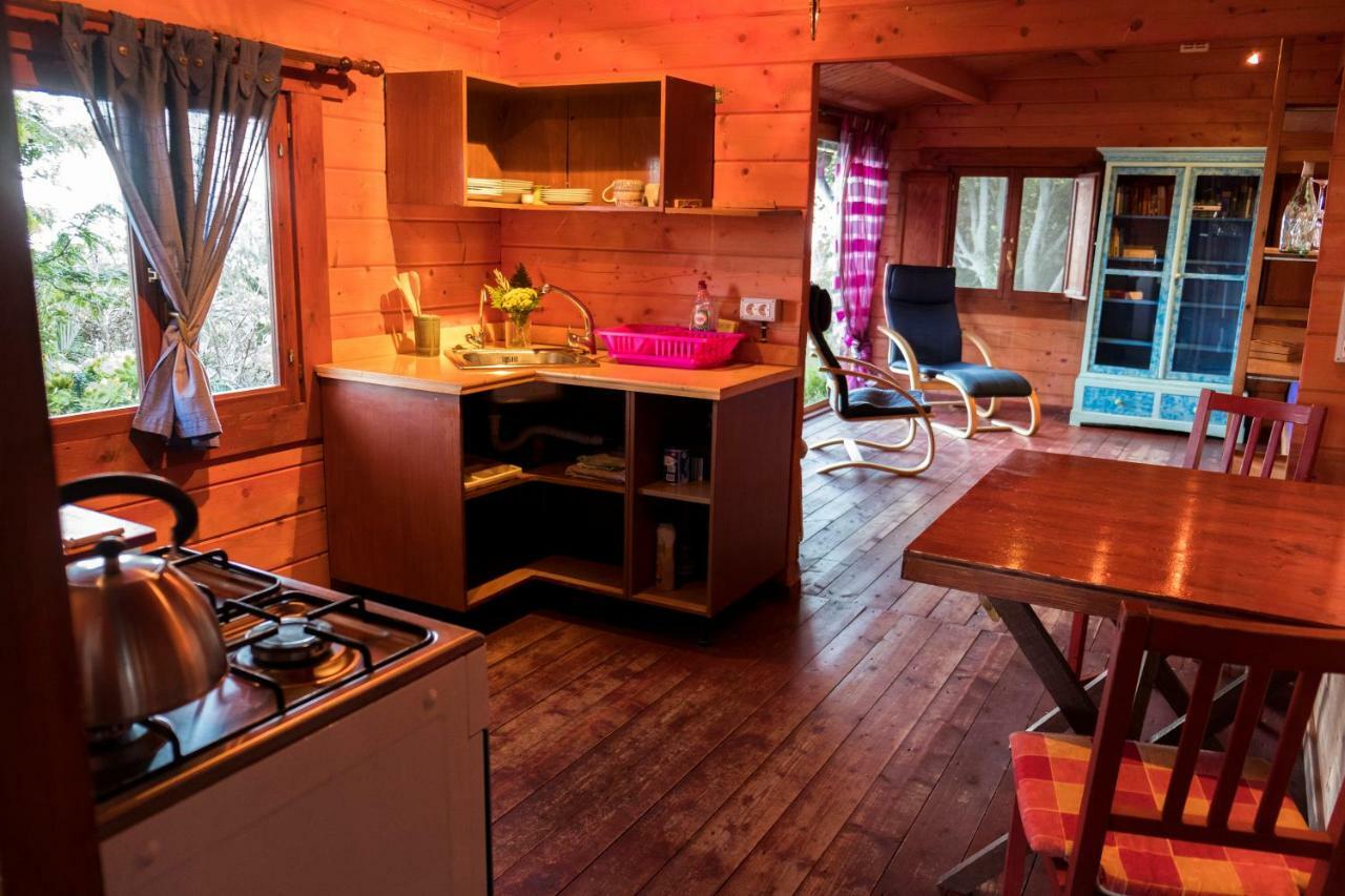 Finca Pura Vida Blockhaus Mazo エクステリア 写真
